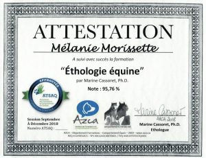 melanie _morisette_ethologie_equine_comportement_cheval