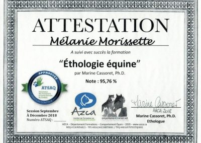 melanie _morisette_ethologie_equine_comportement_cheval