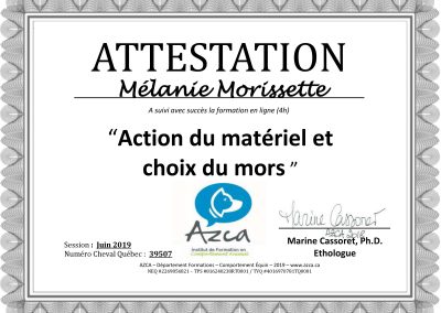 JUIN2019_Actiondumatériel_MélanieMorissette