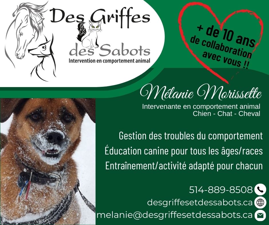 DGEDS10ans